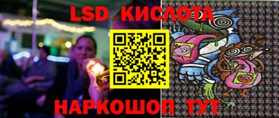 прущие грибы Беслан