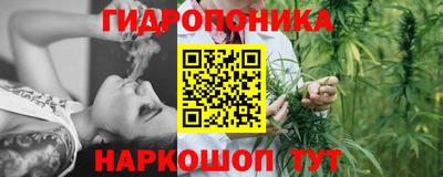 стаф Бийск