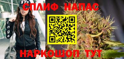 стаф Бийск