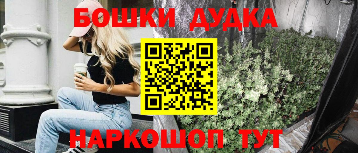 Каннабис MAZAR  МАРИХУАНА планчик  Канабис планчик  Бошки марихуана Ganja  Вход с VPN  Киселёвск 